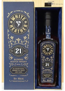 화이트헤더21년