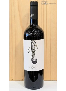 코랄 듀에로 엔 베나2022